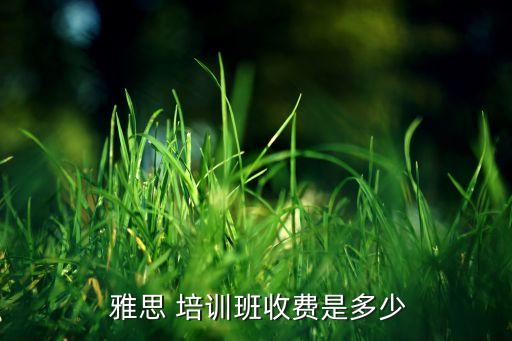  雅思 培训班收费是多少