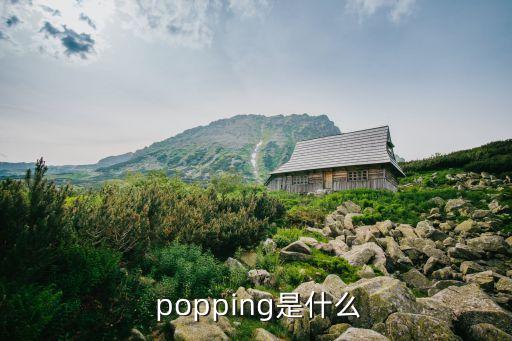 popping绿坦跳什么风格,街舞分两种风格特征看视频分辨