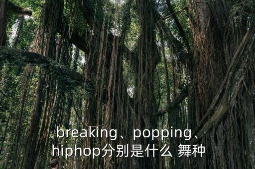 breaking、popping、 hiphop分别是什么 舞种