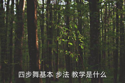 跳舞视频教学 初学者 步法,基础四步舞步法公式