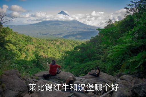  莱比锡红牛和汉堡哪个好