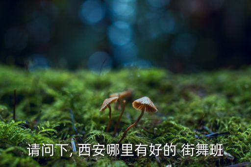 请问下, 西安哪里有好的 街舞班