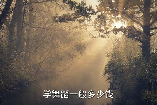 学舞蹈一般多少钱