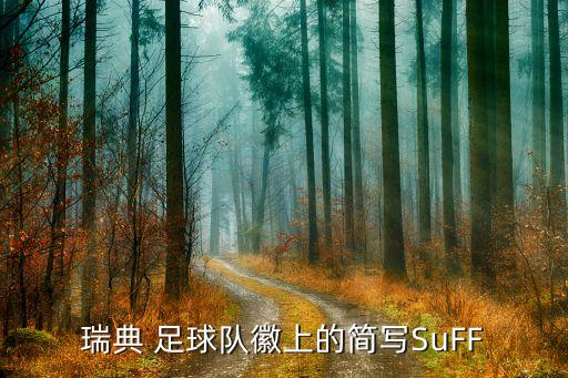 瑞典 足球队徽上的简写SuFF