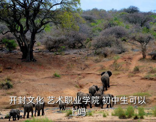 开封文化 艺术职业学院 初中生可以上吗
