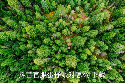斗音官方免费下载,从手机tiktok软件下载视频音乐到手机