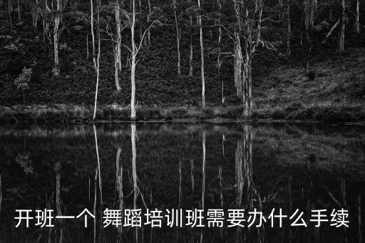 开班一个 舞蹈培训班需要办什么手续