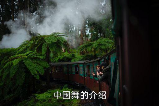 中国舞的介绍