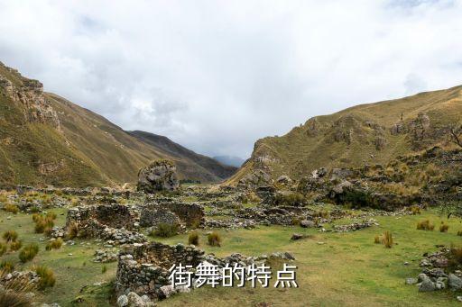 街舞课程特色简介范文怎么写,街舞入门技巧:中国的特色不奇怪