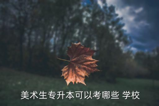  美术生专升本可以考哪些 学校