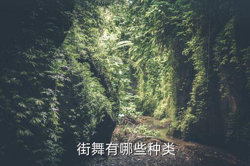 街舞有哪些种类