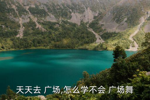天天去 广场,怎么学不会 广场舞