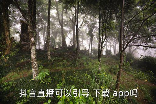 抖音直播可以引导 下载 app吗