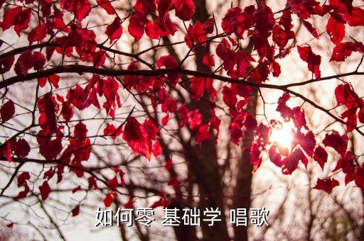 如何零 基础学 唱歌