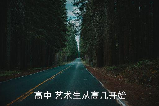  高中 艺术生从高几开始