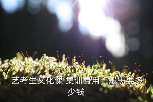  艺考生文化课 集训费用一般需要多少钱