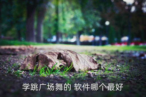学跳舞用什么软件好,拍手势舞软件用什么拍?