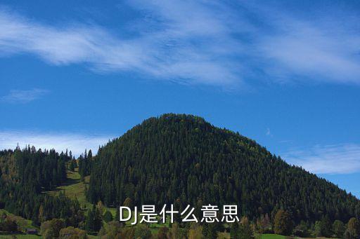 打碟是什么意思污,一战前就有了disco怎么回事?