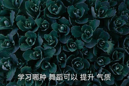 学习哪种 舞蹈可以 提升 气质