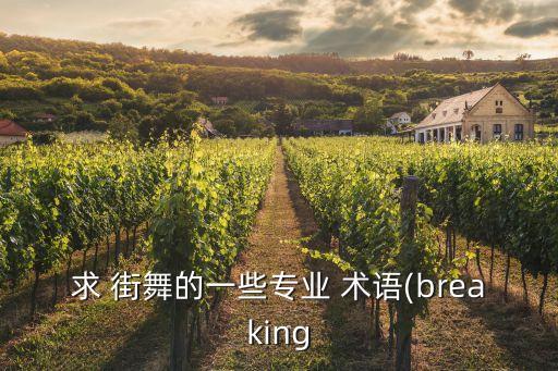 求 街舞的一些专业 术语(breaking