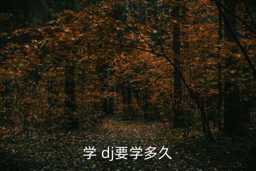 dj培训流程,如何用电脑制作dj?