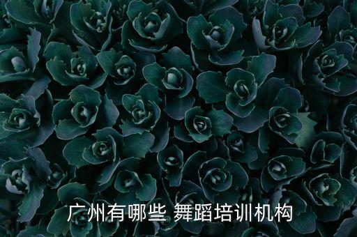  广州有哪些 舞蹈培训机构