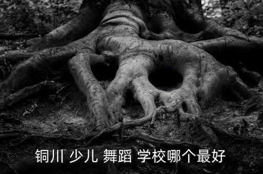 铜川 少儿 舞蹈 学校哪个最好