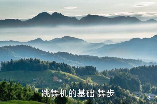 跳舞机的基础 舞步