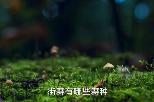  街舞有哪些舞种