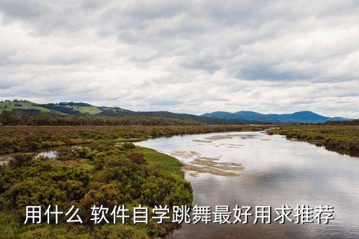 用什么 软件自学跳舞最好用求推荐