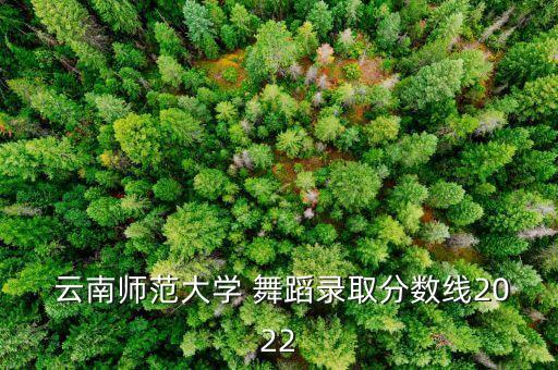 舞蹈专业可以报考哪些院校云南,舞蹈专业考生报名名单出炉!