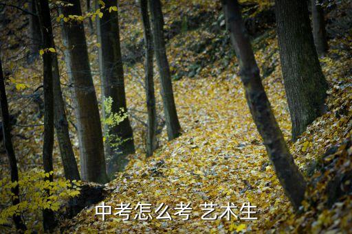 高中没有艺术班怎么艺考,高中学生艺考l流程如下