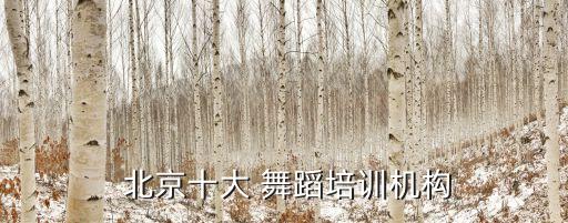  北京十大 舞蹈培训机构