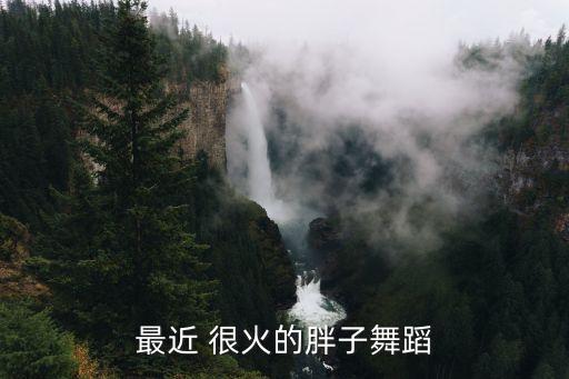 最近 很火的胖子舞蹈