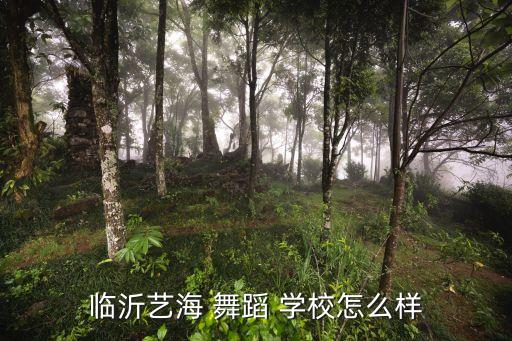 专业培训舞蹈学校,华玲舞蹈祭专业钢管舞专业基础课扎实