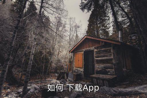 如何 下载App