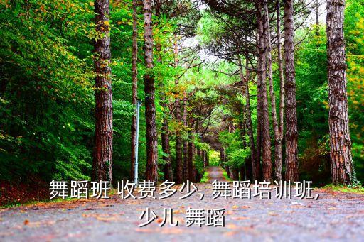 舞蹈班 收费多少, 舞蹈培训班,少儿 舞蹈