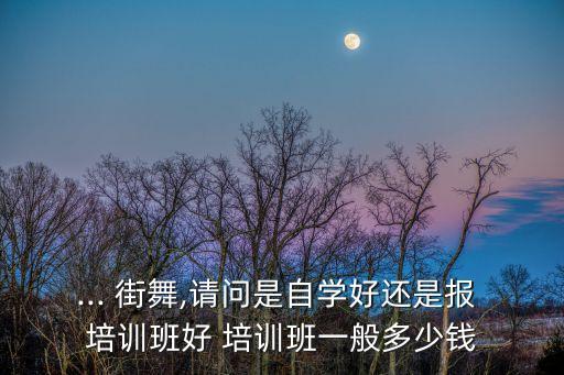 ... 街舞,请问是自学好还是报 培训班好 培训班一般多少钱