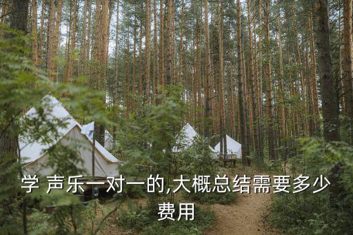 学 声乐一对一的,大概总结需要多少费用