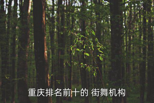 重庆排名前十的 街舞机构