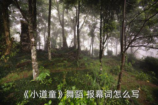 《小道童》舞蹈 报幕词怎么写