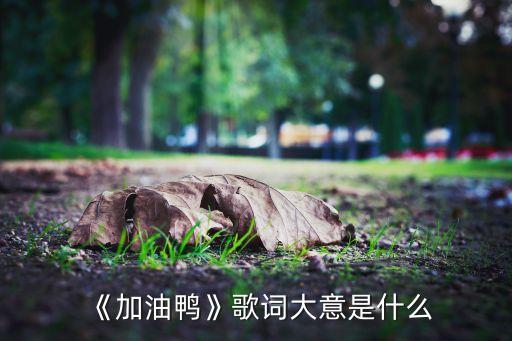 《加油鸭》歌词大意是什么