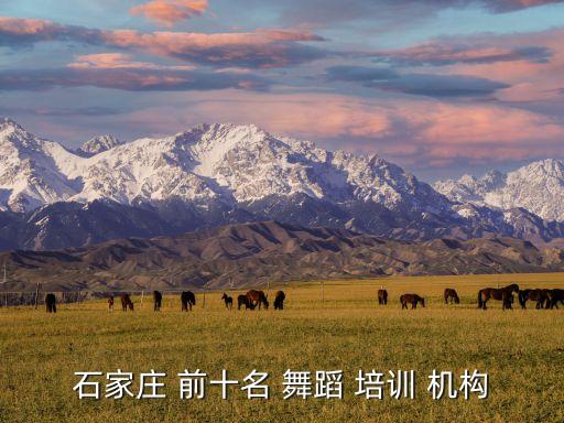 石家庄 前十名 舞蹈 培训 机构