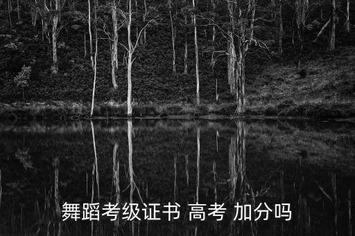舞蹈考级证书 高考 加分吗