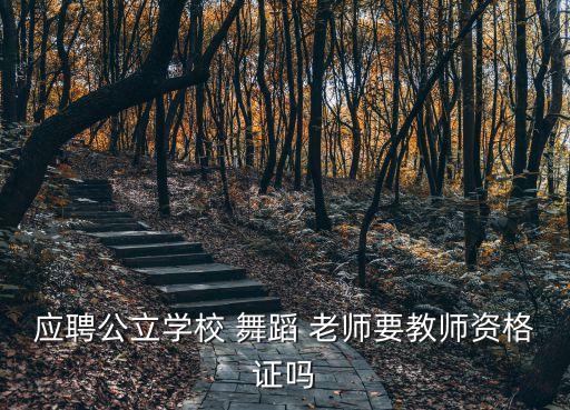 应聘公立学校 舞蹈 老师要教师资格证吗