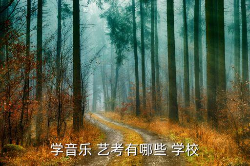 民谣吉他艺考能考哪些学校,学音乐艺考有哪些学校?