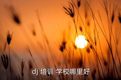  dj 培训 学校哪里好
