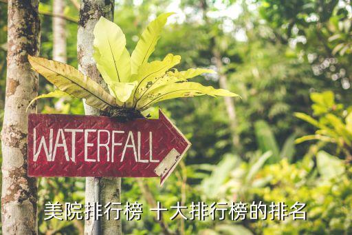 全球十大美术学院,中国十大美术学院:杨梅在其中很有名