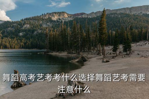 中国舞可以考艺术生吗,高考舞蹈种类有:中国民间舞、古典舞