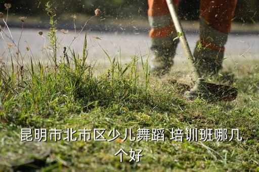  昆明市北市区少儿舞蹈 培训班哪几个好